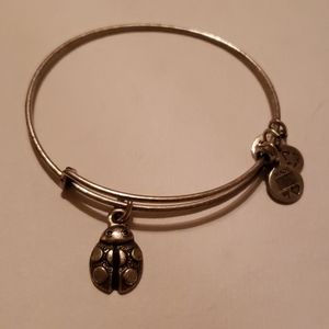 Alex and Ani bracelet